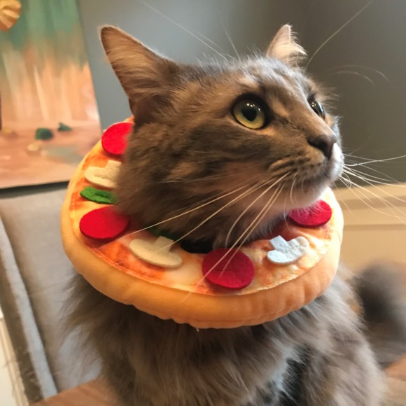 pizzacat_
